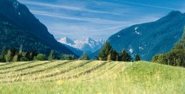 Götschenalm - Bischofswiesen