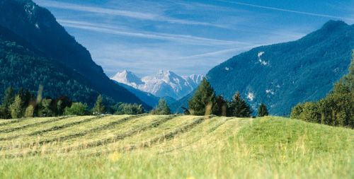 Götschenalm - Bischofswiesen