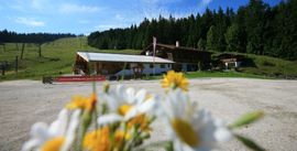 Götschenalm - Bischofswiesen