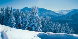 Winter auf der Götschenalm