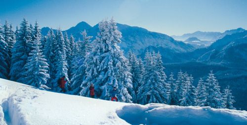 Winter auf der Götschenalm